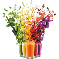 Breville the Juice Fountain Cold XL Juicer BJE830OLB1BNA1 IMAGE 3