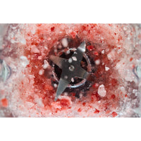 KitchenAid Pure Power Blender KSB2072BM IMAGE 10