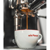 La Pavoni Cellini Evolution Semi-Professional Espresso Machine LPSCVB11US IMAGE 11