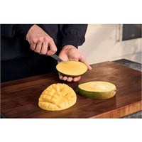 Zwilling Spectrum 4-inch Paring Knife 1033078 IMAGE 6