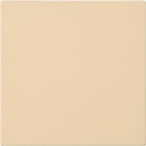 Frigidaire Pizza Stone 5304539429 IMAGE 1