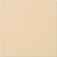 Frigidaire Pizza Stone 5304539429 IMAGE 1